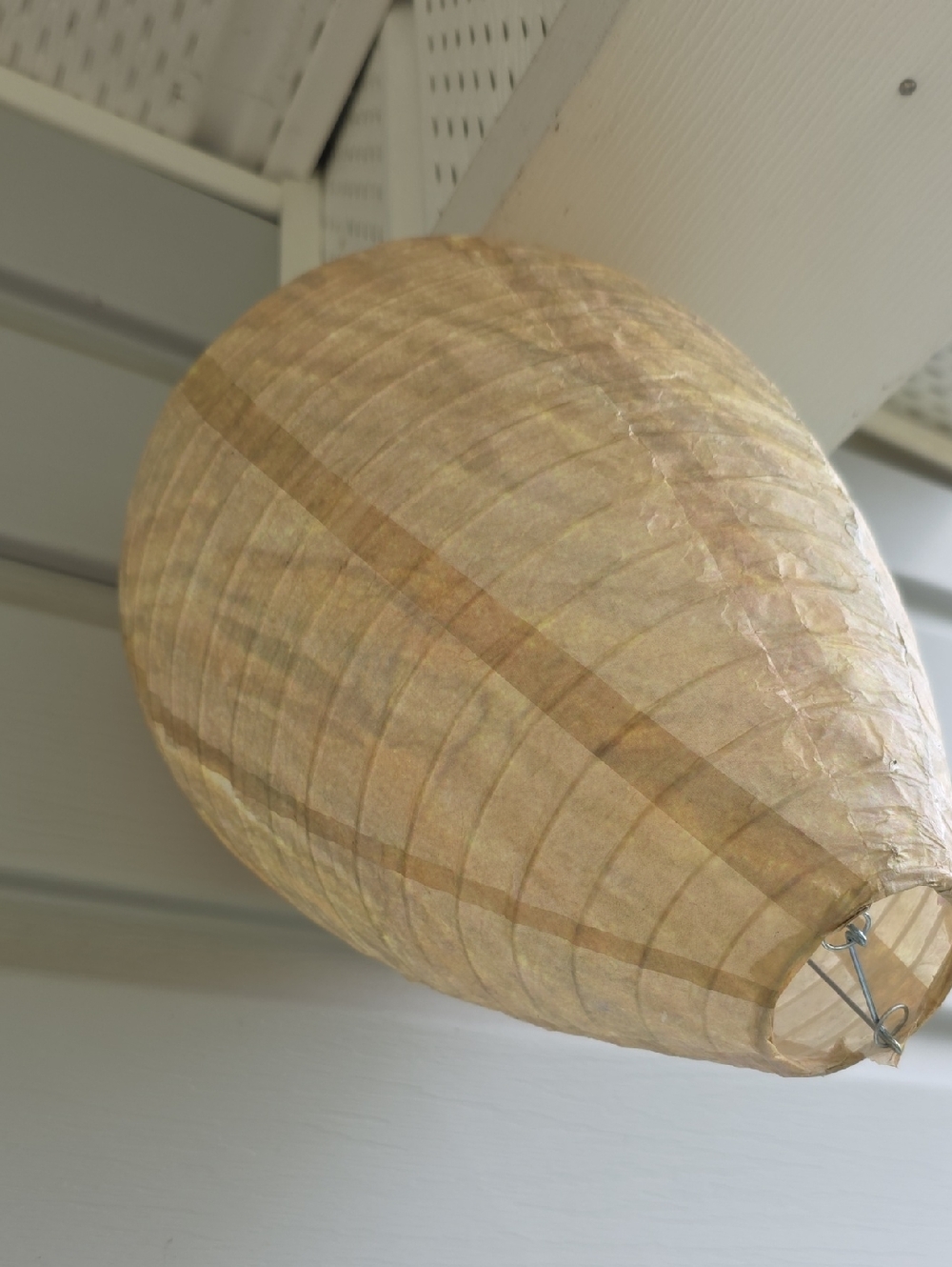 Paper Lantern Wasp NEST in Light Tan